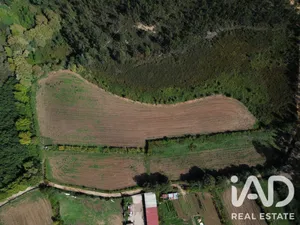 Farm land  in Alfena