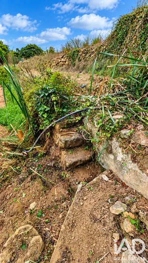 Terreno em Mafra