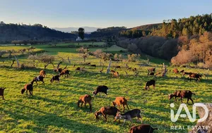 Rural farm  in Castelejo