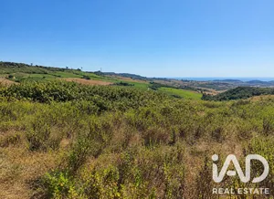Terreno misto  em Arruda dos Vinhos