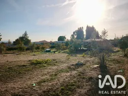 Farm land in Nelas