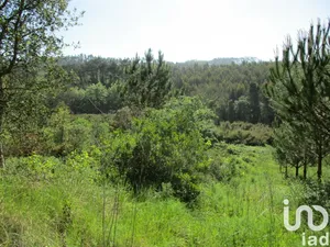 Terrain agricole   à Salir de Matos