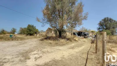 House  in Algoz e Tunes