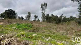 Terrain à batir à Tamel (São Veríssimo)