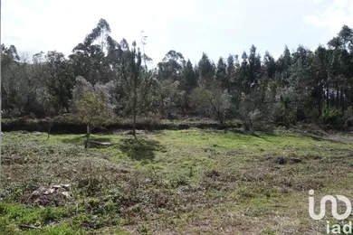 Land in Pedreiras