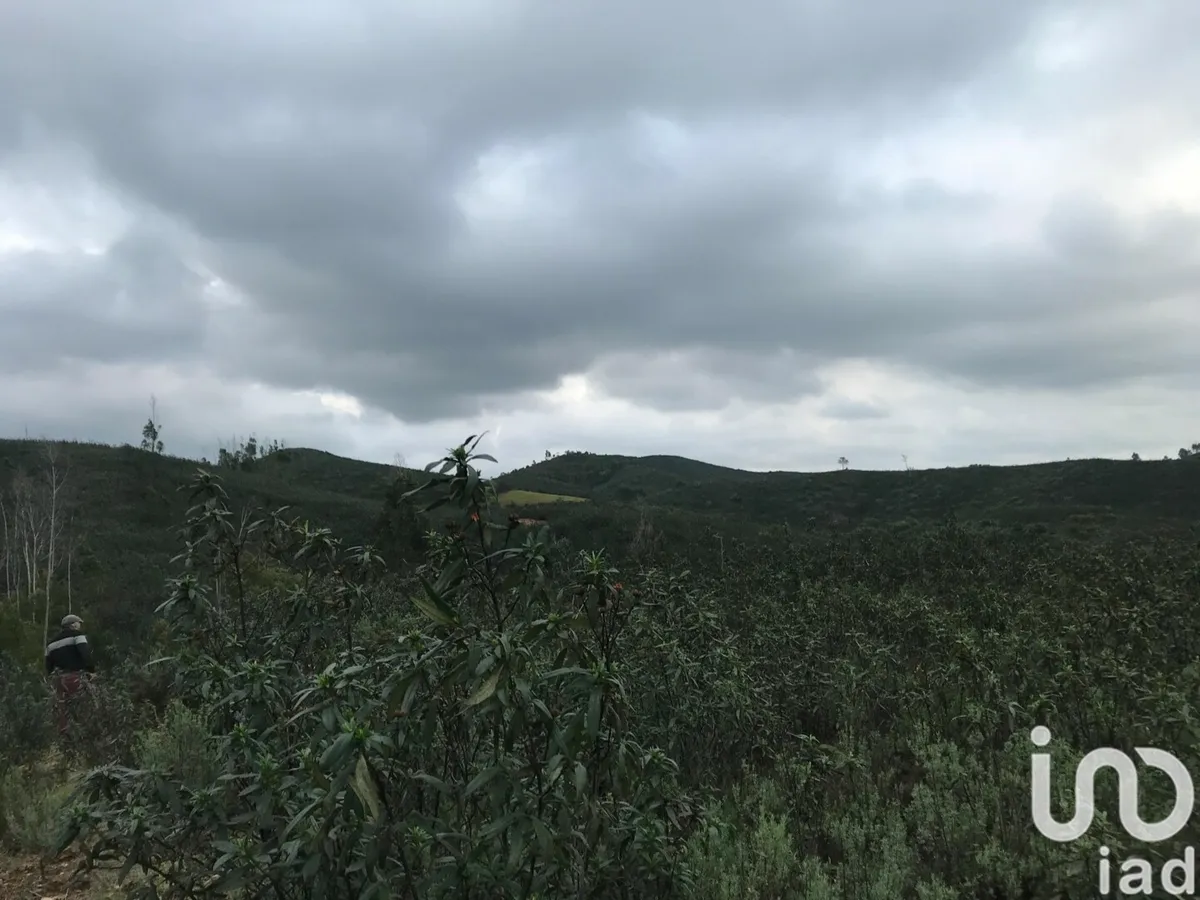 Terreno de 76 240 m² em Alferce