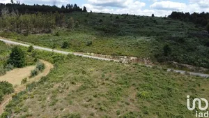 Terrain  à Seixo da Beira