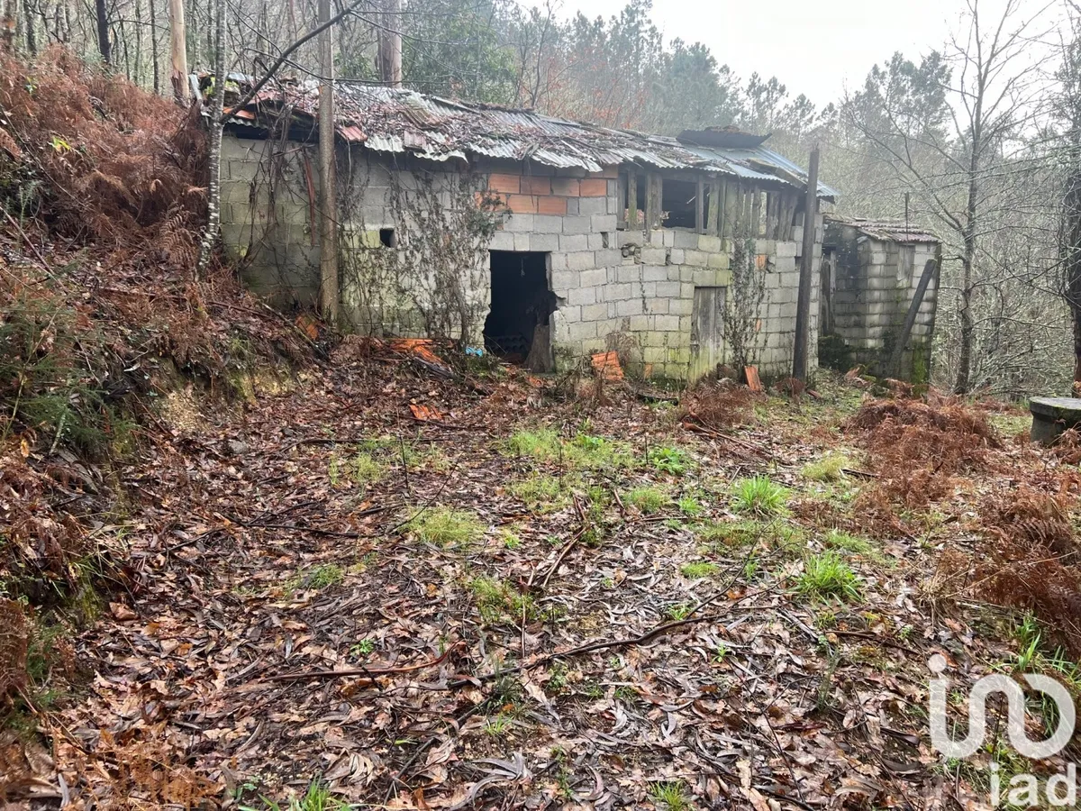 Terreno de 4600 m² em São Félix