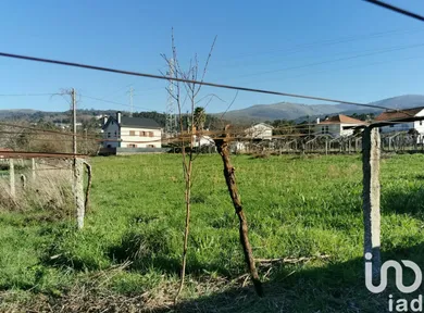 Terreno  em Prado e Remoães
