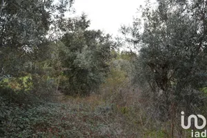 Terreno em Areias e Pias