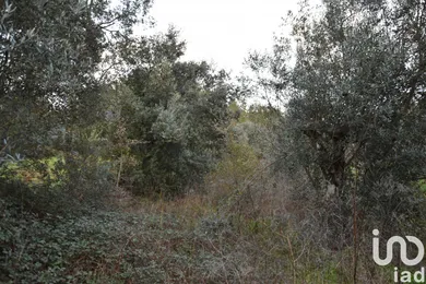 Terreno em Areias e Pias