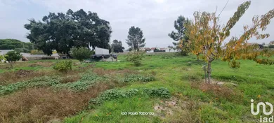 Ferme  à Torrão
