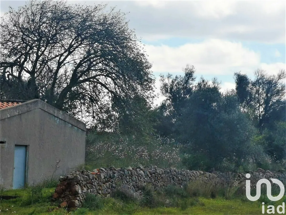 Terreno de 5420 m² em São Bartolomeu de Messines