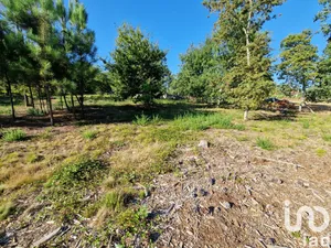 Farm land in Torre E Vila Mou