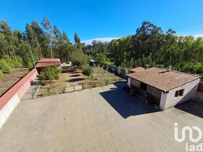 Fotografia 6 de Quinta 8 quartos de 490 m² em Castelões