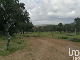 Land  in Viana do Alentejo