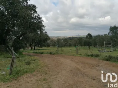 Terreno em Viana do Alentejo