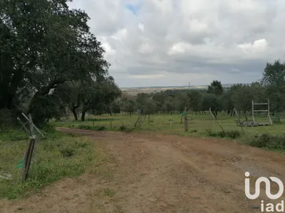 Fotografia 3 de Terreno de 35 500 m² em Viana do Alentejo