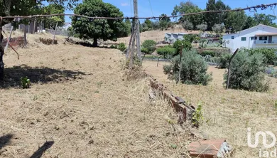 Terreno  em Pedrógão Grande
