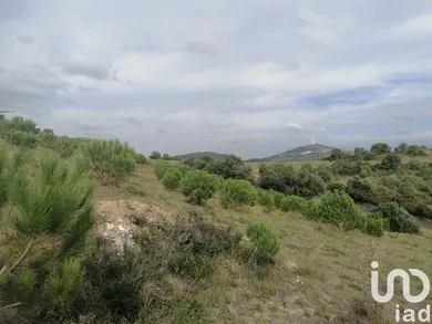 Farm land  in Igreja Nova e Cheleiros