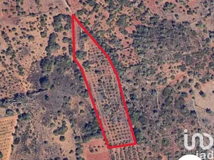 Terreno rústico em Silves