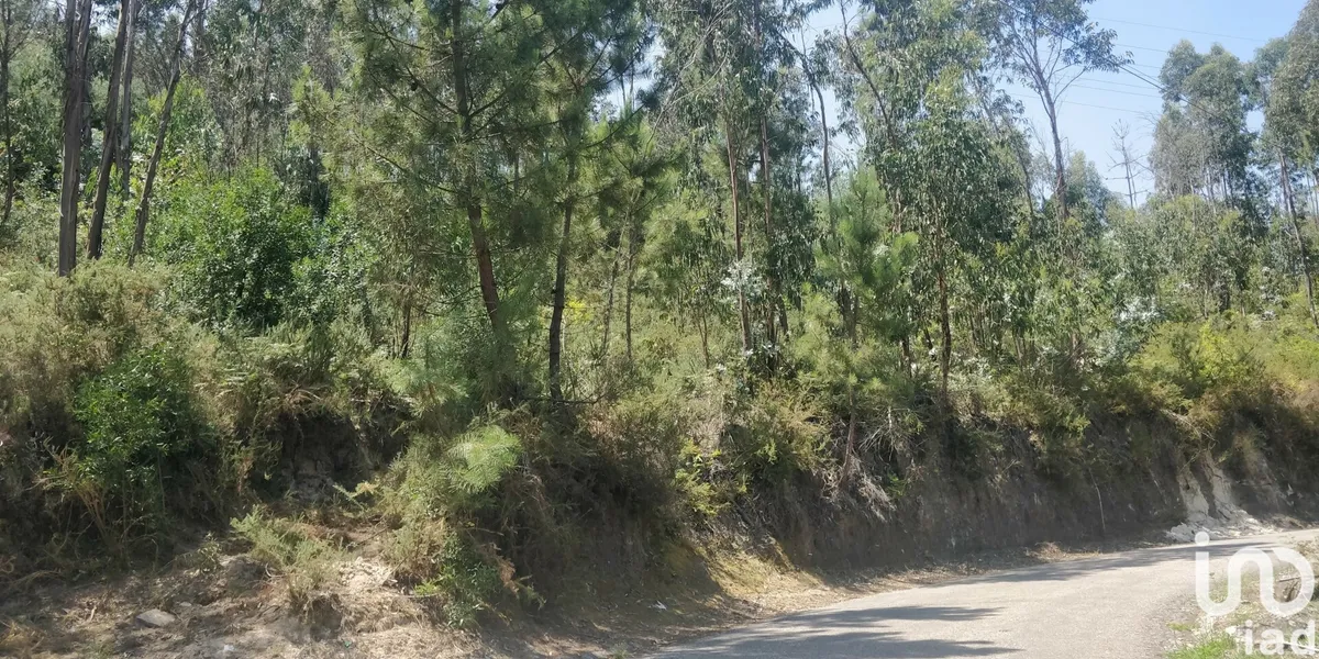 Terreno de 1234 m² em Luzim e Vila Cova