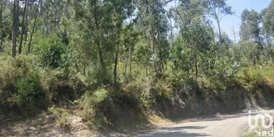 Land at Luzim e Vila Cova