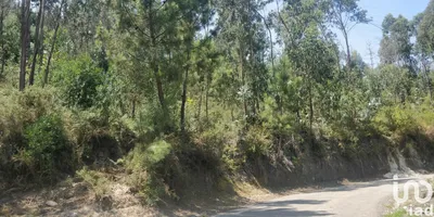 Fotografia 8 de Terreno rústico de 17 000 m² em Duas Igrejas