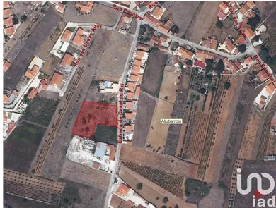 Land  in Aljubarrota