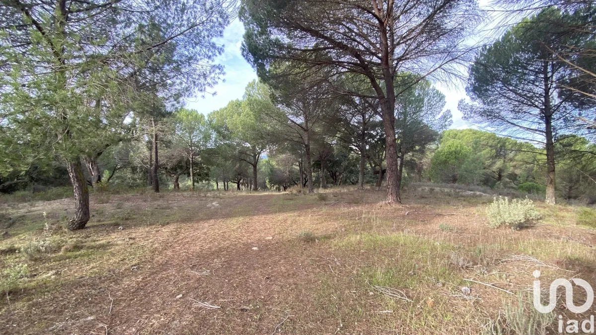 Terreno de 28 000 m² em Galveias