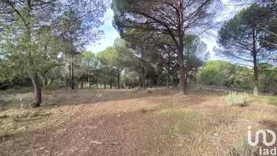 Fotografia 4 de Terreno rústico de 100 750 m² em Galveias