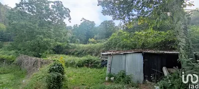 Fotografia 4 de Terreno rústico de 45 500 m² em Sendim
