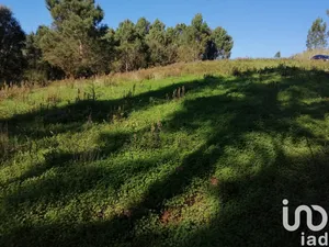 Terrain  à Salir de Matos