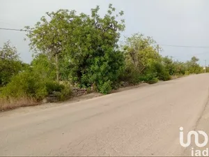 Land  at Moncarapacho e Fuseta