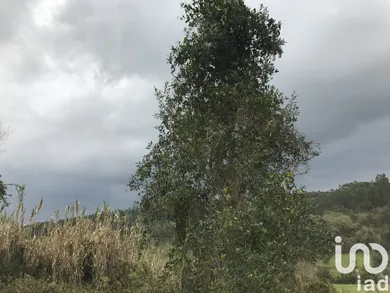 Terrain  à Santiago e São Simão de Litém e Albergaria dos Doze