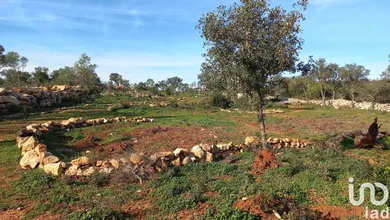 Terrain  à Loulé (São Clemente)
