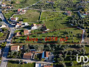 Land at Tomar (São João Baptista) e Santa Maria dos Olivais
