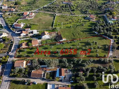 Land at Tomar (São João Baptista) e Santa Maria dos Olivais