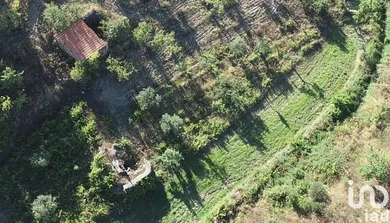 Terrain  à Freixo de Espada à Cinta e Mazouco
