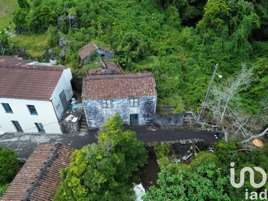 House  in São João