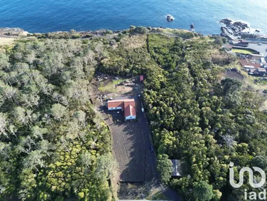 House  in São Caetano