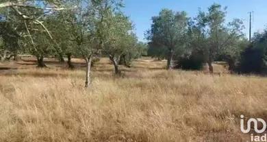 Terreno urbano  em Alcácer do Sal (Santa Maria do Castelo e Santiago) e Santa Susana