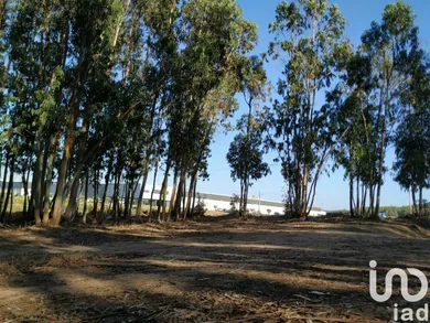 Terrain  à A dos Cunhados e Maceira