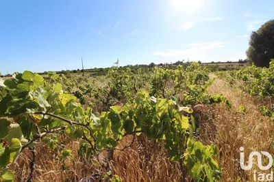 Fotografia 5 de Terreno de 11 580 m² em Silves