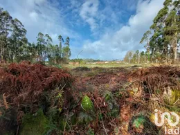 Land in Vila de Punhe