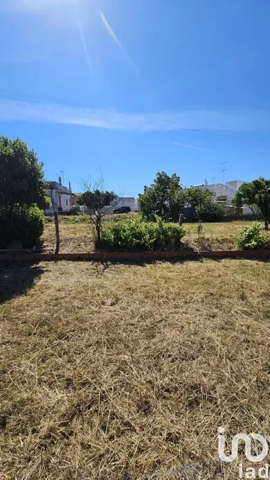 Terreno  em Almancil