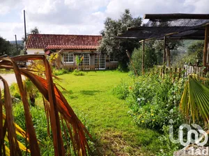 House at Arrimal e Mendiga