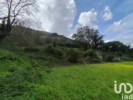 Terrain  à Cadaval e Pêro Moniz