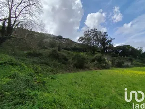 Land  in Cadaval e Pêro Moniz