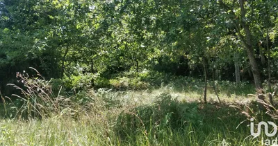 Fotografia 1 de Terreno de 1585 m² em Luzim e Vila Cova